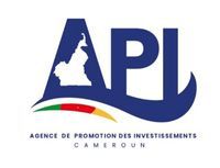 logo API