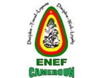 logo ENEF