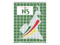 logo INS